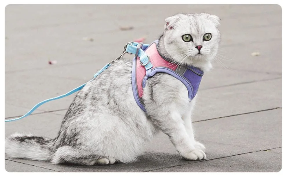 Adjustable Harness Collar Soft Breathable Vest Pet Walking Lead Leash for Cat