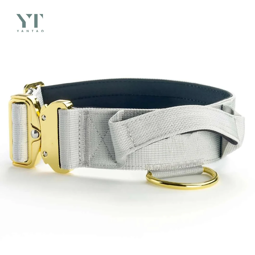 Custom Logo 2 Inch Gold Large Dog Collar with Handle Heavy Duty Adjustable Nylon Luxury Tactical Dog Collar Pet Collar