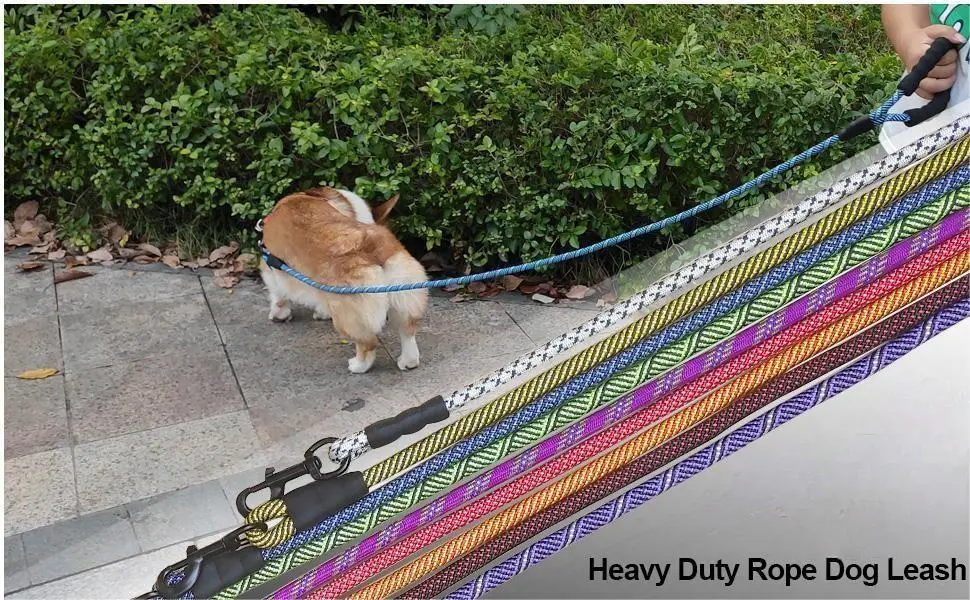 Voovpet Brand Heavy Duty Rope, 3-15 FT Nylon, Soft Padded Handle Thick Lead Pet Product Dog Leash for Small to Large Dogs
