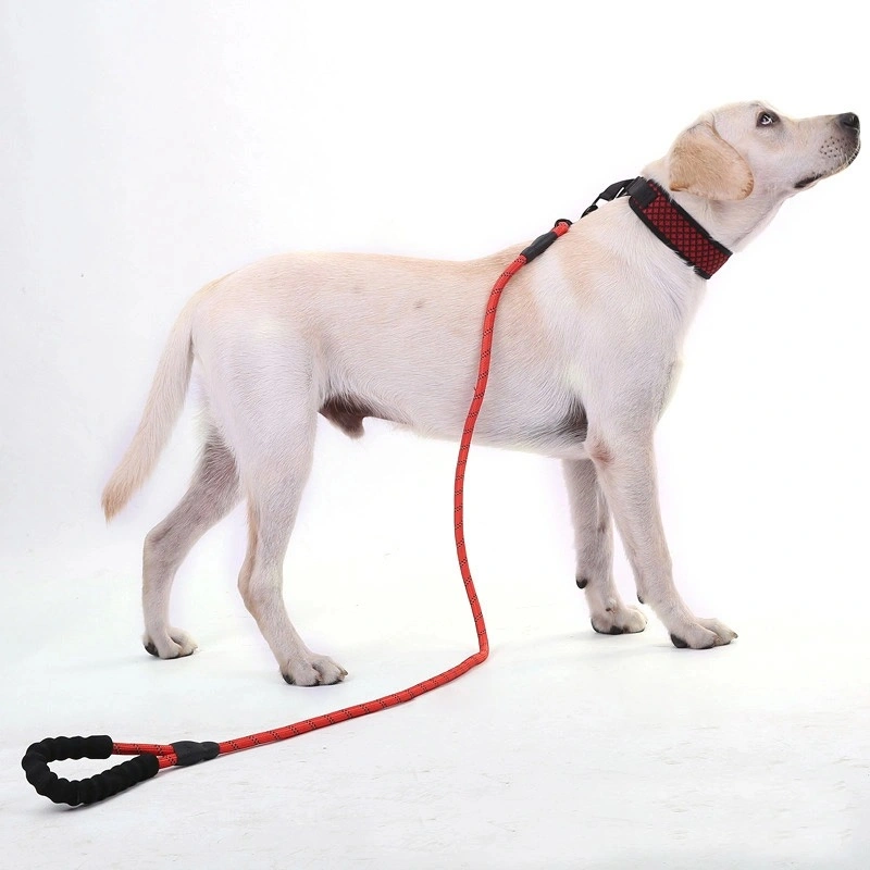 Pet Supplies Dog Rope Traction Rope Dog Multicolor Reflective Nylon Leash