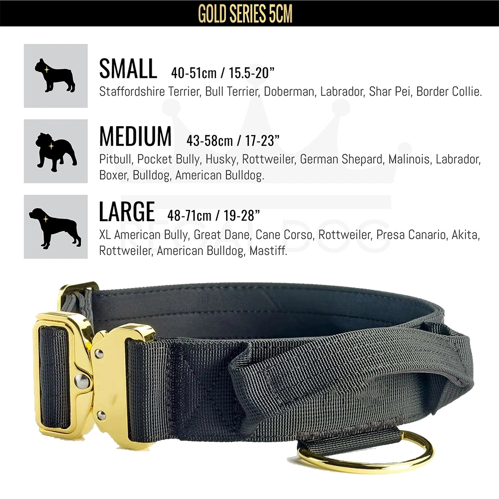 Custom Logo 2 Inch Gold Large Dog Collar with Handle Heavy Duty Adjustable Nylon Luxury Tactical Dog Collar Pet Collar